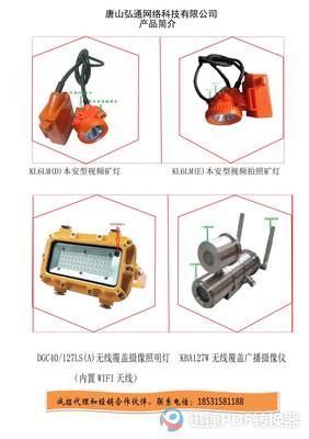領航未來，連接世界——XX通訊設備銷售公司簡介